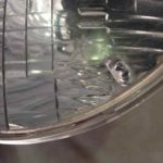 Cforcar Facel Vega Restoration 1 018